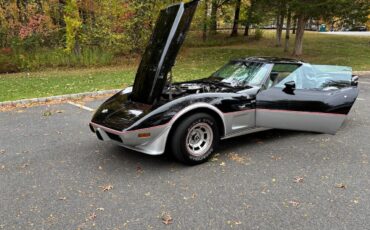 Chevrolet-Corvette-indy-500-pace-car-1978-BlackSilver-Silver-3