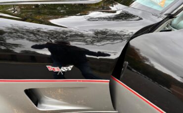 Chevrolet-Corvette-indy-500-pace-car-1978-BlackSilver-Silver-4
