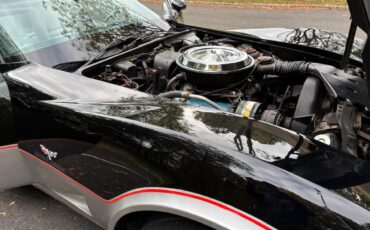 Chevrolet-Corvette-indy-500-pace-car-1978-BlackSilver-Silver-5