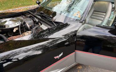 Chevrolet-Corvette-indy-500-pace-car-1978-BlackSilver-Silver-7