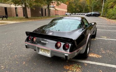 Chevrolet-Corvette-indy-500-pace-car-1978-BlackSilver-Silver-8