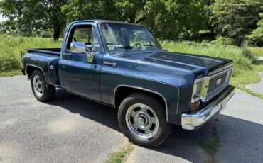 Chevrolet-Custom-10-1974-Catalina-Blue-Matallic-Two-Tone-Blue