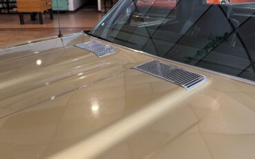 Chevrolet-El-Camino-1969-18