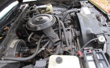 Chevrolet-El-Camino-1985-10