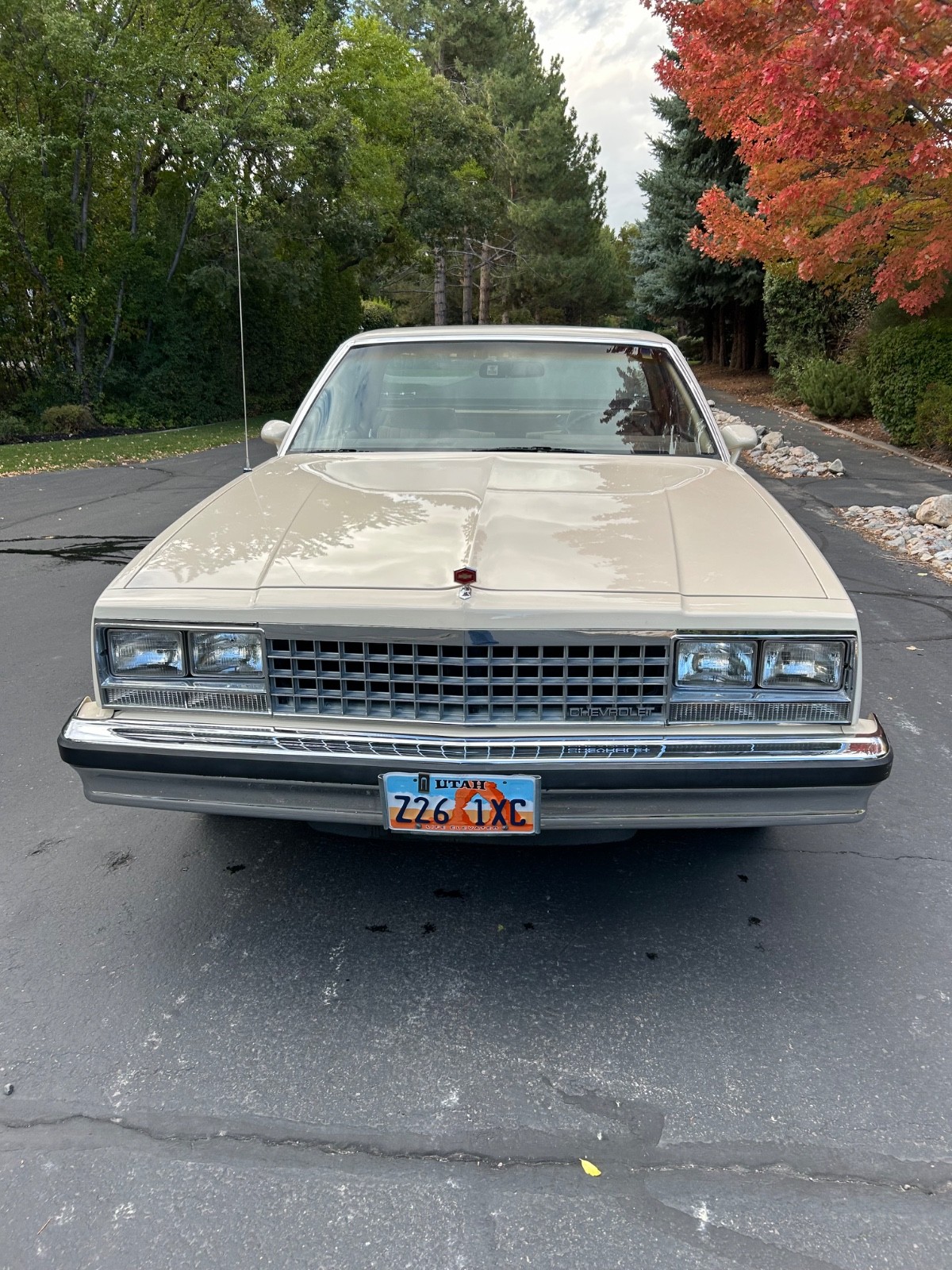 Chevrolet-El-Camino-1985-Standard-Cab-Pickup-1