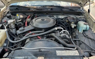 Chevrolet-El-Camino-1985-Standard-Cab-Pickup-10