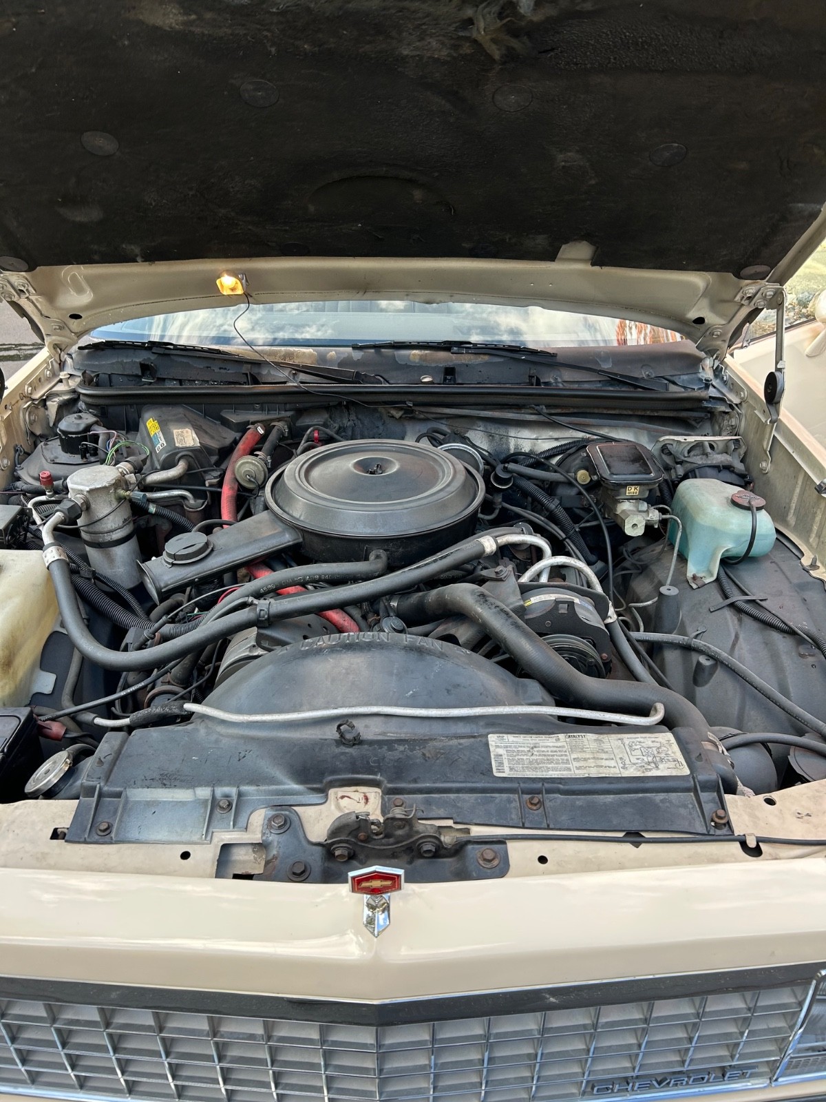 Chevrolet-El-Camino-1985-Standard-Cab-Pickup-10
