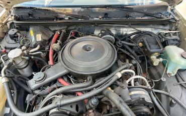 Chevrolet-El-Camino-1985-Standard-Cab-Pickup-11