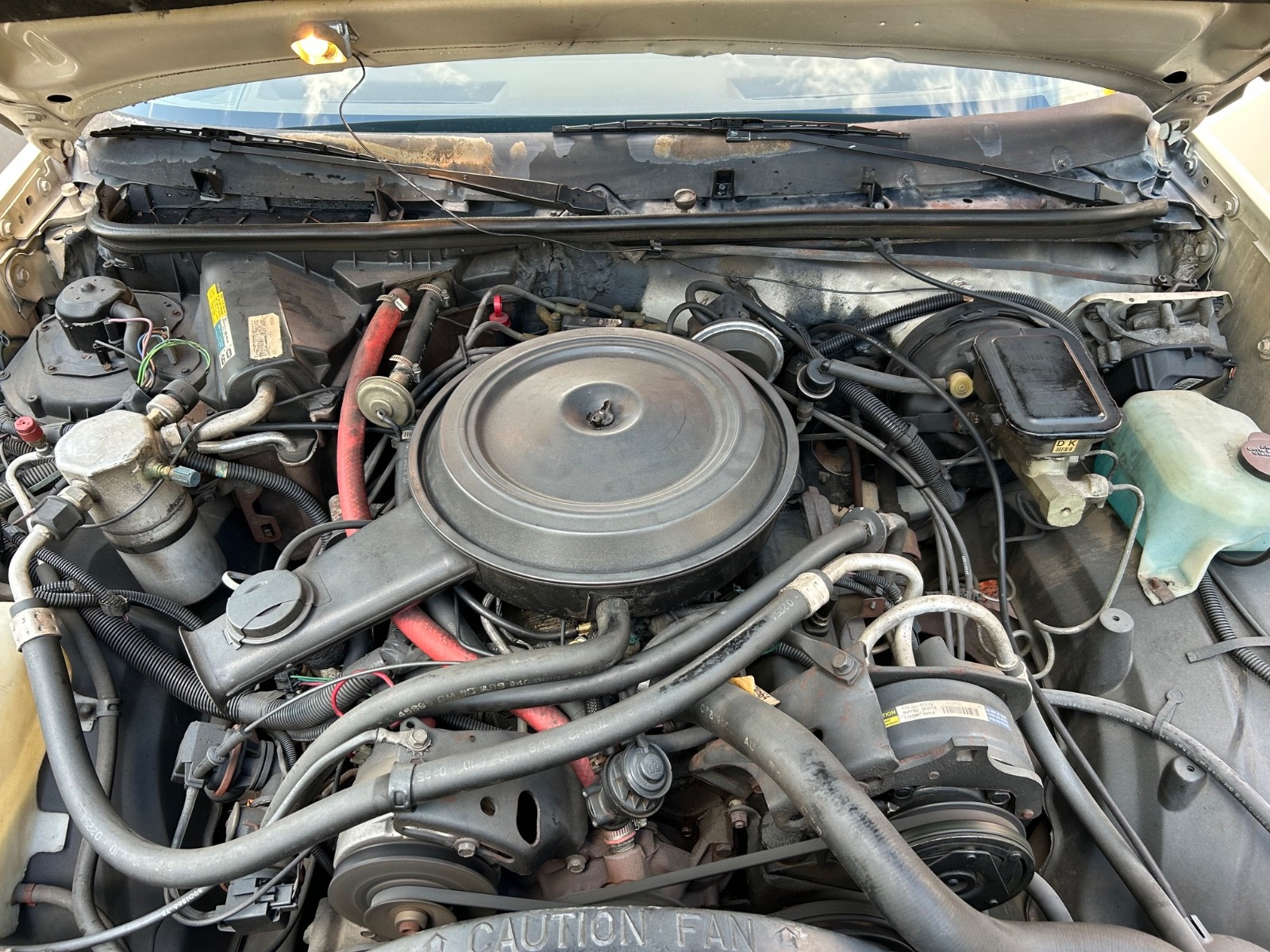 Chevrolet-El-Camino-1985-Standard-Cab-Pickup-11
