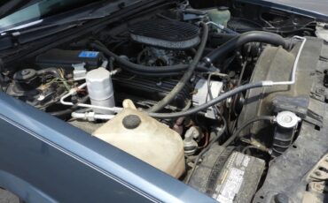 Chevrolet-El-camino-1978-16