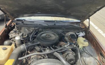 Chevrolet-El-camino-1978-Tan-Tan-2