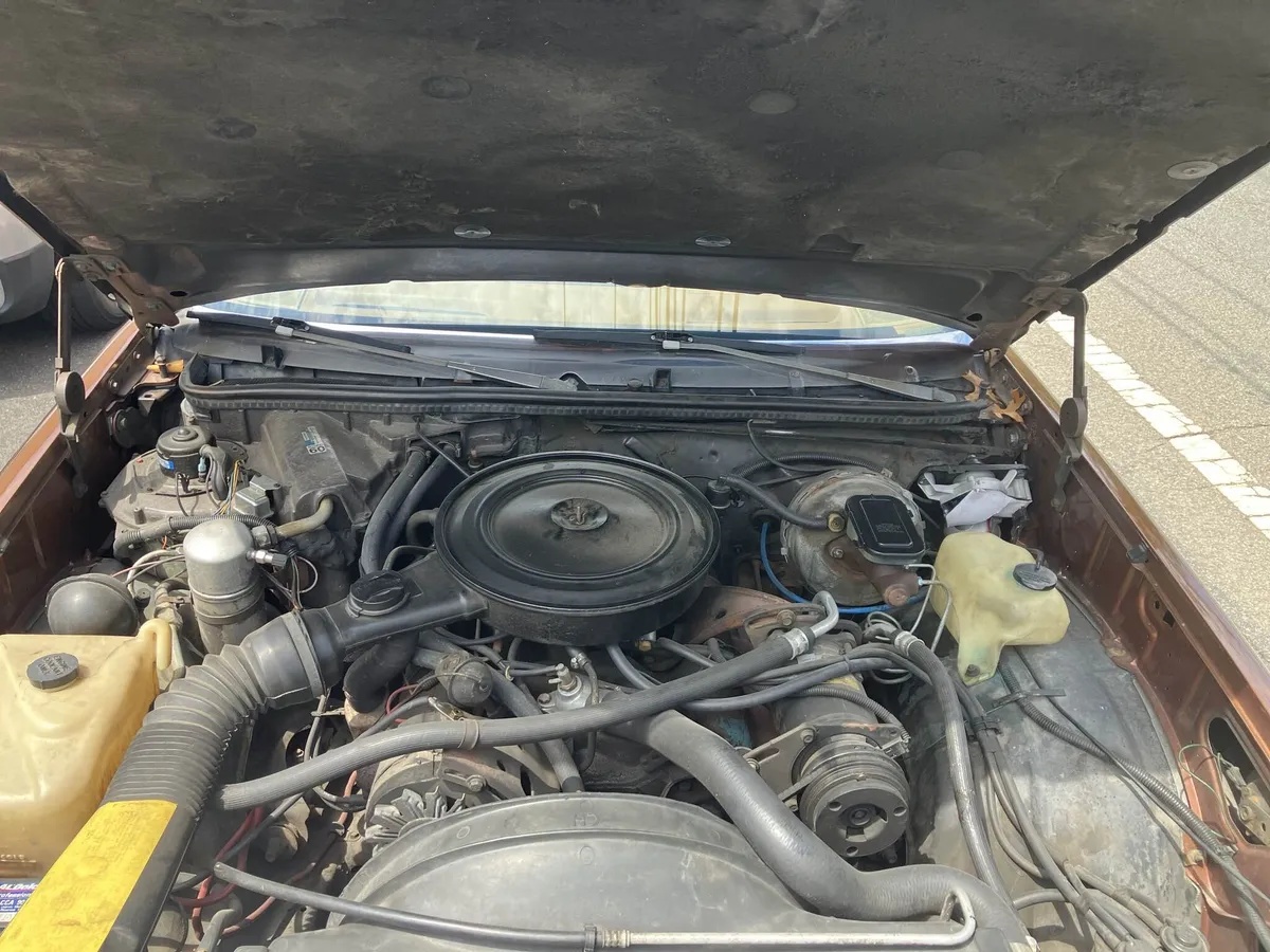 Chevrolet-El-camino-1978-Tan-Tan-2