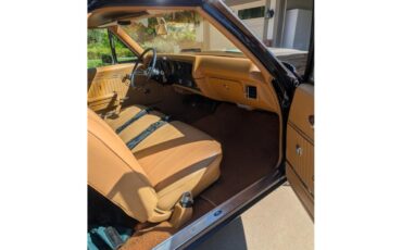 Chevrolet-El-camino-ss-1970-Bing-cherry-metallic-Buckskin-1