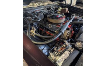 Chevrolet-El-camino-ss-1970-Bing-cherry-metallic-Buckskin-17