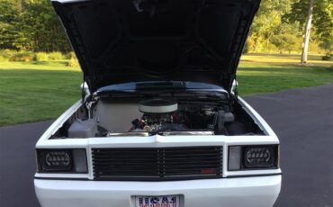 Chevrolet-El-camino-ss-1979-Pearl-White-Black-28