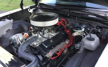Chevrolet-El-camino-ss-1979-Pearl-White-Black-32