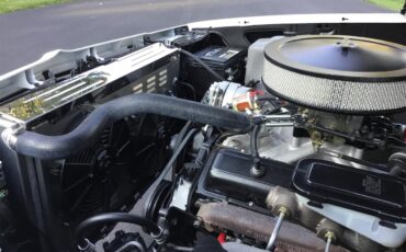 Chevrolet-El-camino-ss-1979-Pearl-White-Black-33