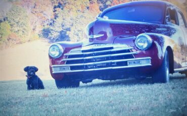 Chevrolet-Fleetline-1947-Burgundy-Tan-amp-Burgundy-4