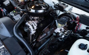 Chevrolet-Gmt-400-1994-Extended-Cab-Pickup-34