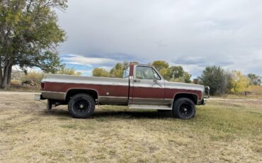 Chevrolet-K-10-1976-Burgundygrey-Red-11