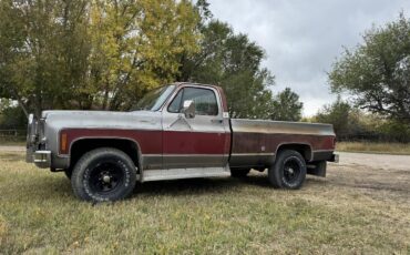 Chevrolet-K-10-1976-Burgundygrey-Red-45