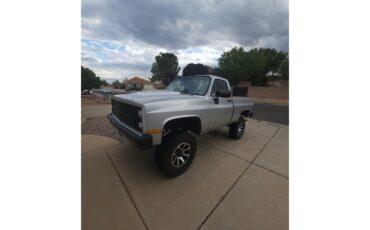 Chevrolet-K-10-1983-Silver-Black-19