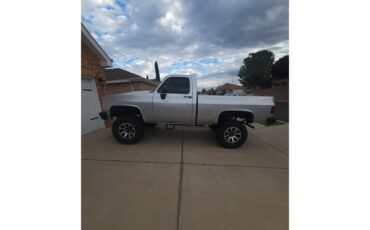 Chevrolet-K-10-1983-Silver-Black-6