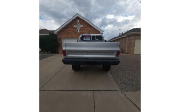 Chevrolet-K-10-1983-Silver-Black-7
