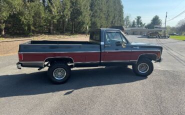 Chevrolet-K10-1979-Gray-10