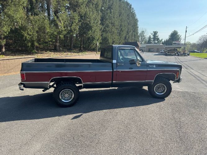 Chevrolet-K10-1979-Gray-10