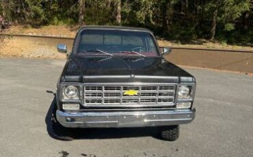Chevrolet-K10-1979-Gray-11