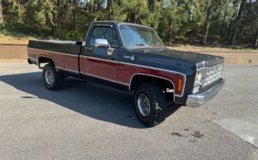 Chevrolet-K10-1979-Gray-3