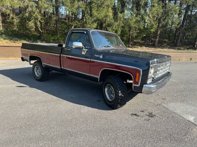 Chevrolet-K10-1979-Gray-3