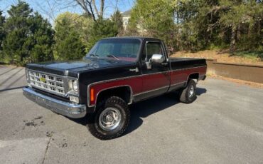 Chevrolet-K10-1979-Gray-8