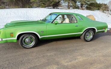 Chevrolet-Laguna-1976-Green-Metallic-White