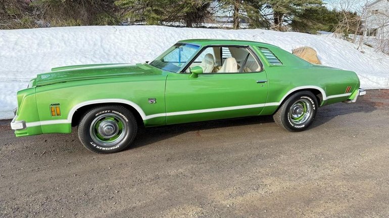 Chevrolet-Laguna-1976-Green-Metallic-White