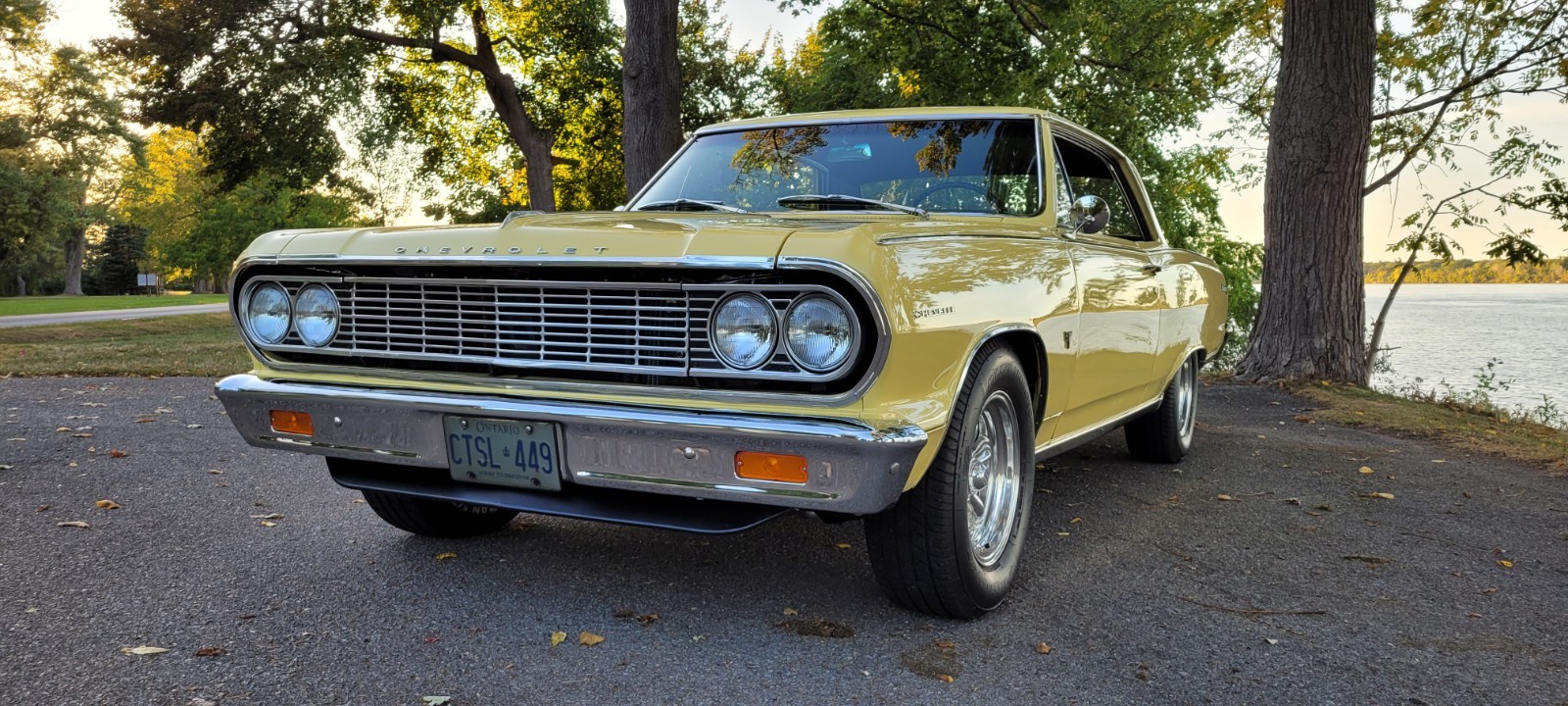 Chevrolet-Malibu-1964-Coupe-6