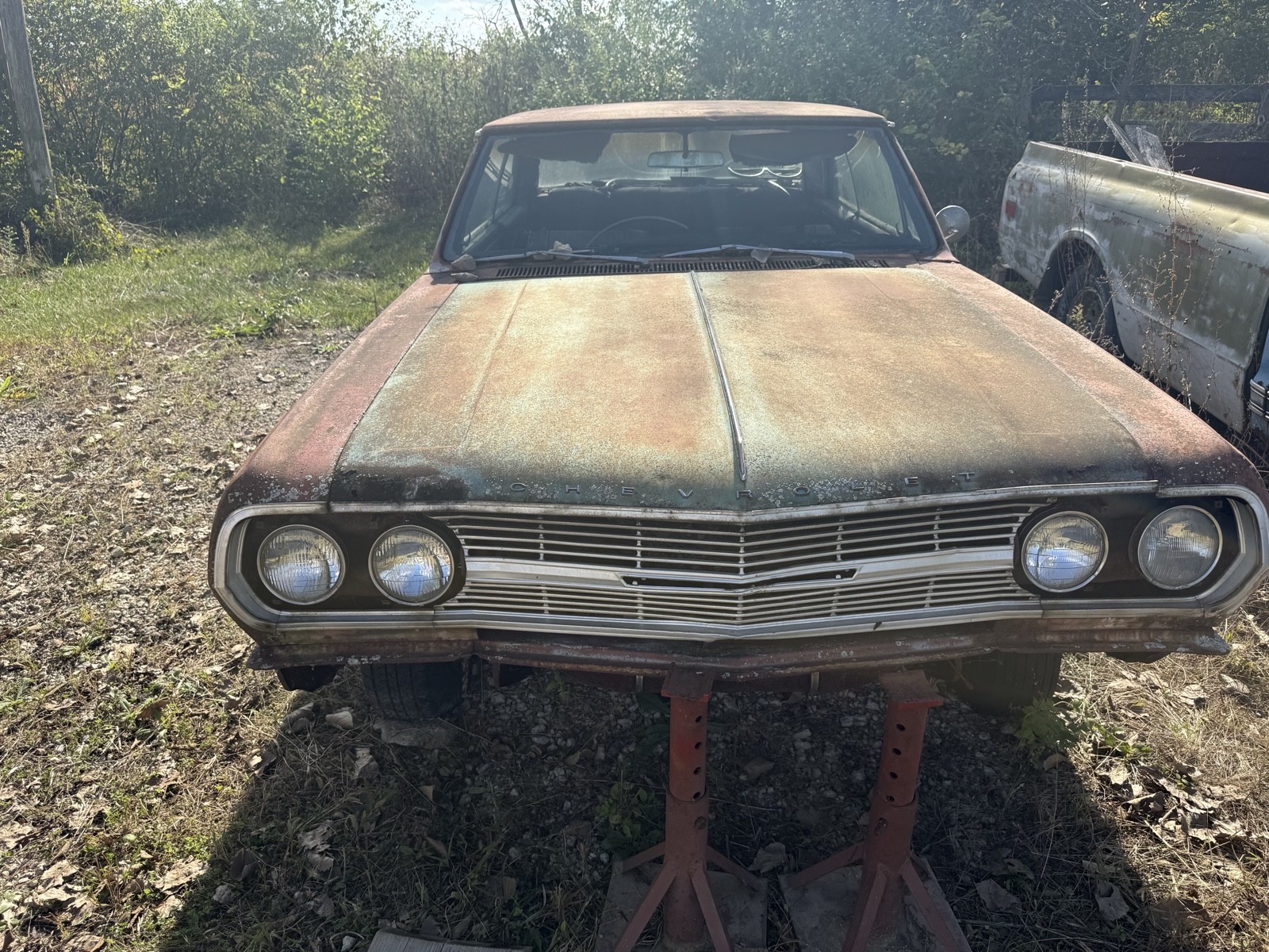 Chevrolet-Malibu-1965-1