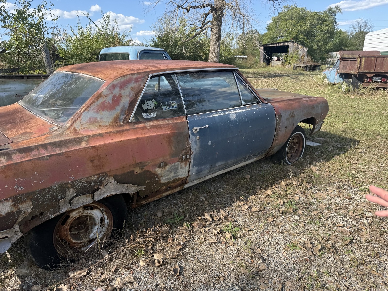 Chevrolet-Malibu-1965-10