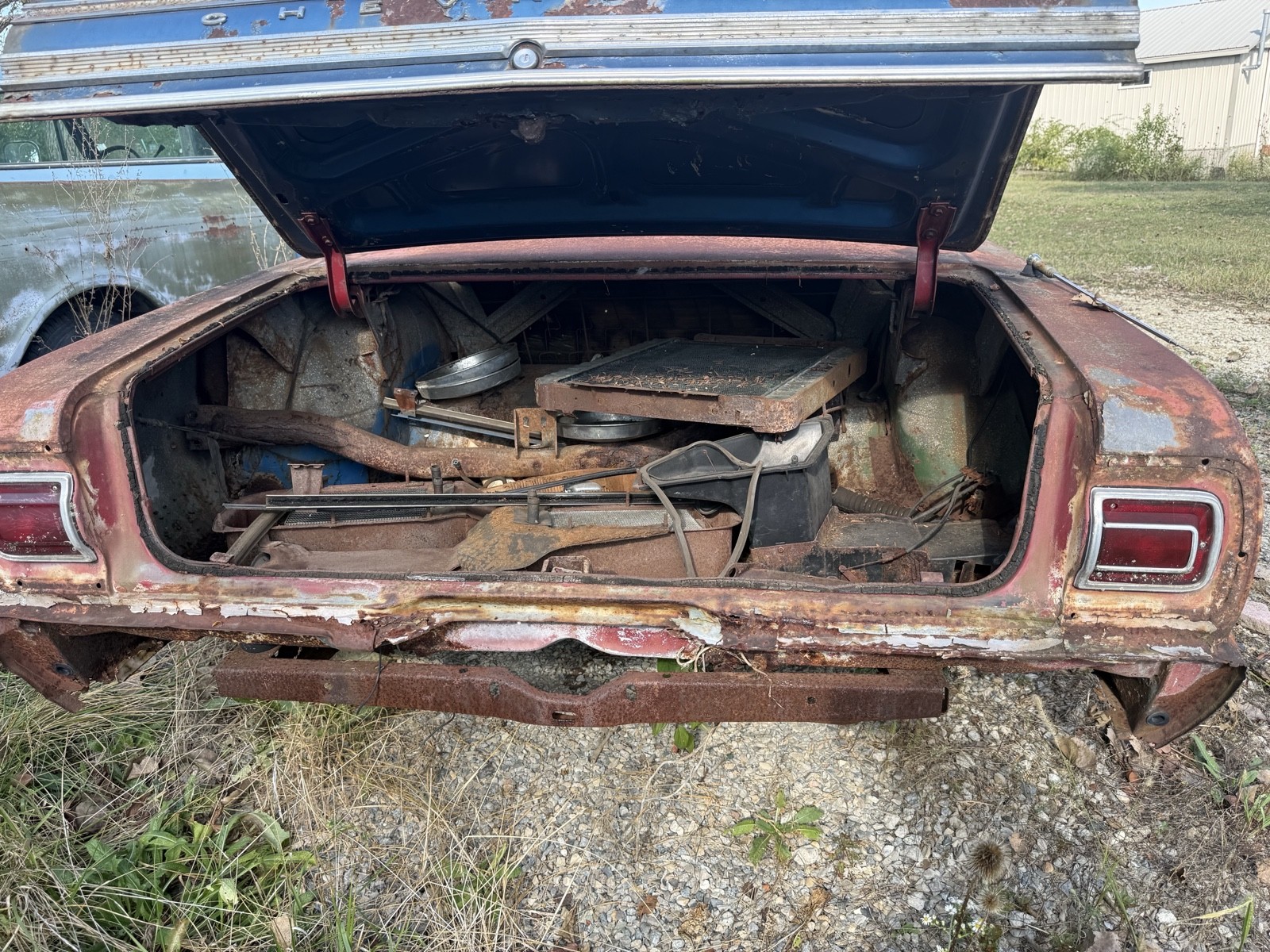 Chevrolet-Malibu-1965-15