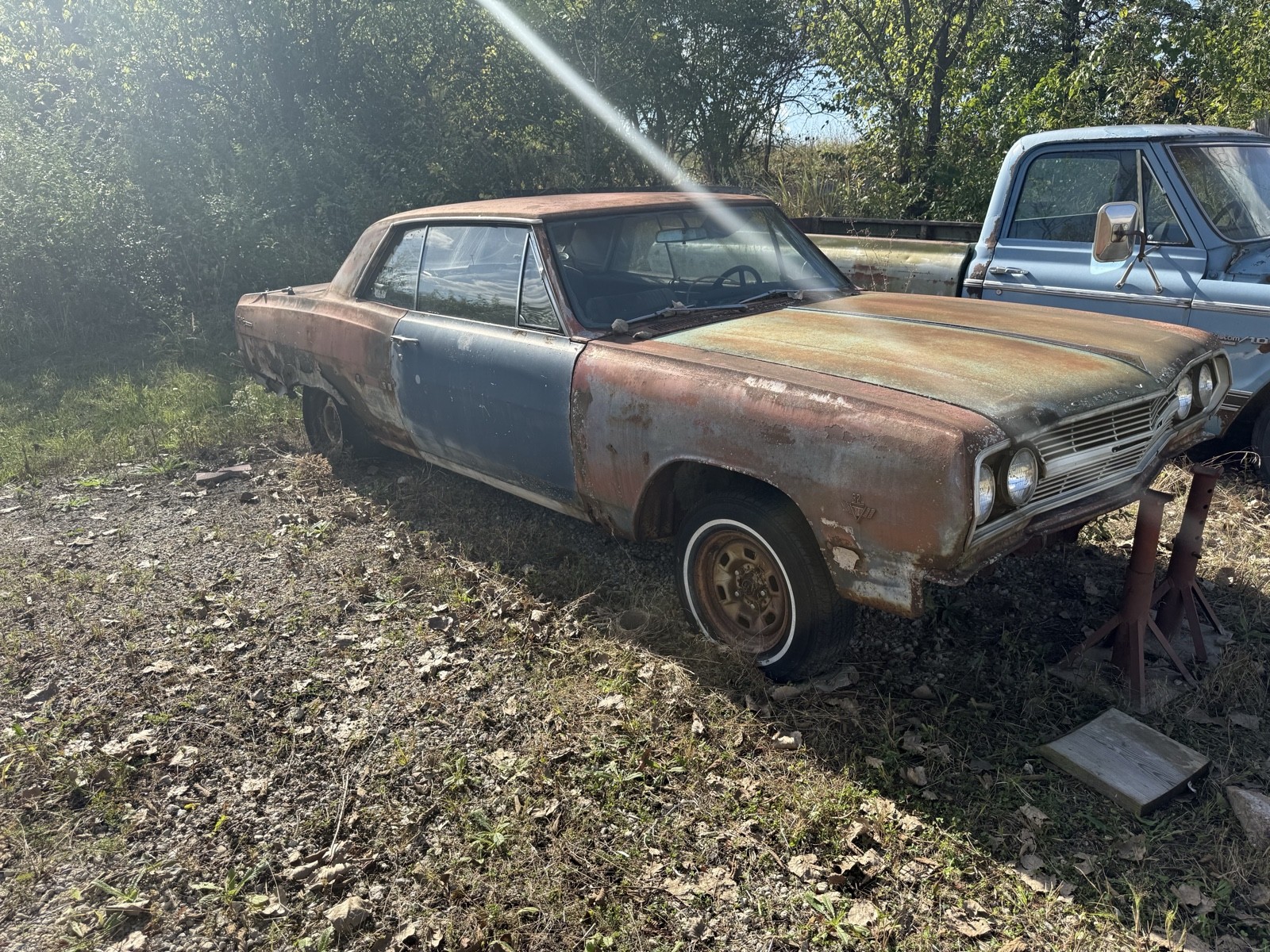 Chevrolet-Malibu-1965