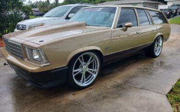 Chevrolet-Malibu-1979-1