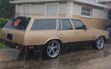 Chevrolet-Malibu-1979-11