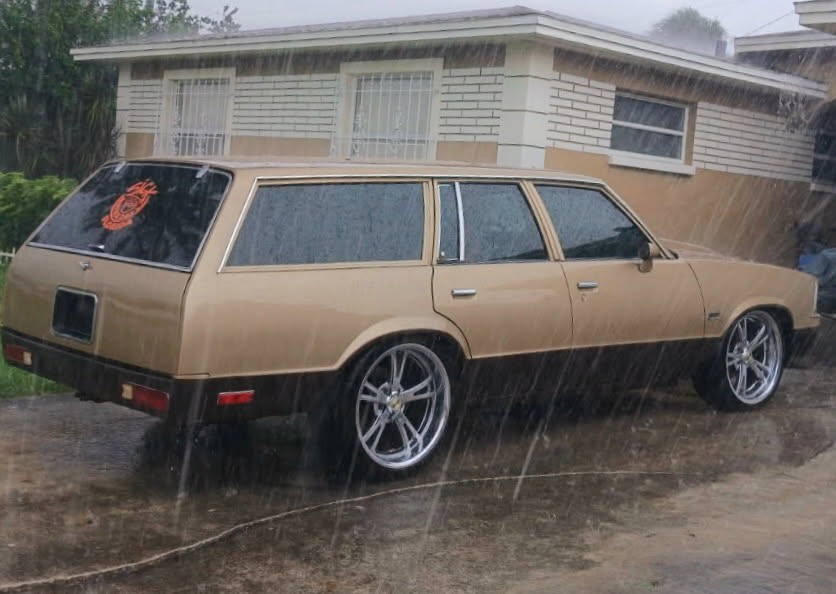 Chevrolet-Malibu-1979-11