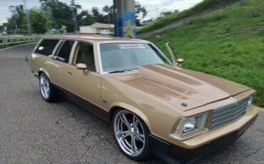 Chevrolet-Malibu-1979-12