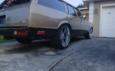 Chevrolet-Malibu-1979-16