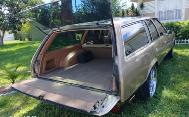 Chevrolet-Malibu-1979-17