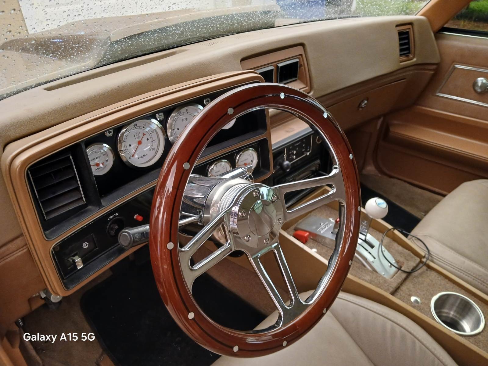 Chevrolet-Malibu-1979-18