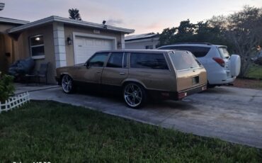 Chevrolet-Malibu-1979-25