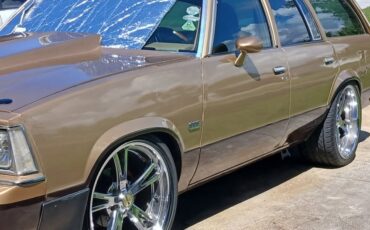 Chevrolet-Malibu-1979-26